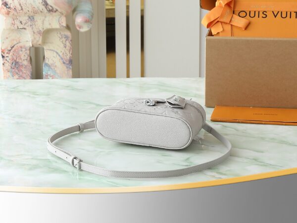 Louis Vuitton Vanity series cosmetic bag (white embossed calfskin)