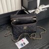 Chanel's classic flap bag series, caviar leather long box bag (Vanity Case)