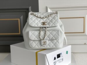 Chanel's classic quilted backpack (commonly known as the "Chanel hobo backpack/bucket backpack")