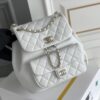 Chanel's classic quilted backpack (commonly known as the "Chanel hobo backpack/bucket backpack")