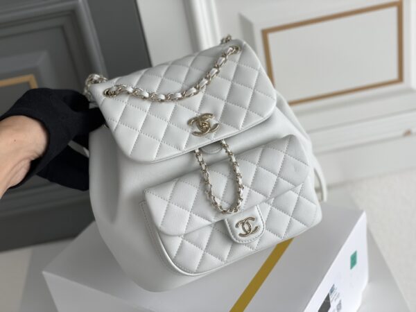 Chanel's classic quilted backpack (commonly known as the "Chanel hobo backpack/bucket backpack")