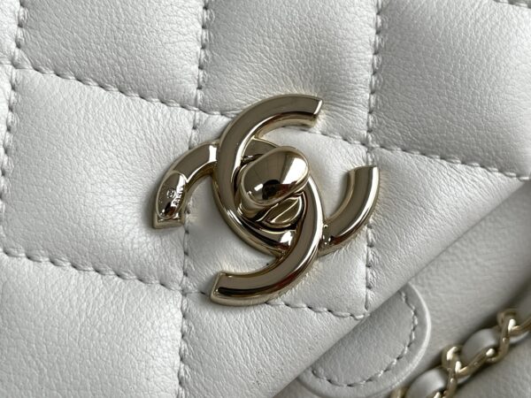 Chanel's classic quilted backpack (commonly known as the "Chanel hobo backpack/bucket backpack")