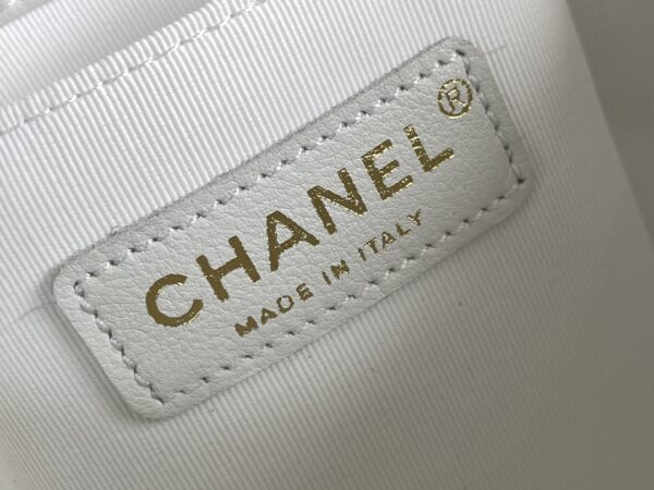 Chanel's classic quilted backpack (commonly known as the "Chanel hobo backpack/bucket backpack")