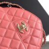 Chanel Classic Flap Heart Bag