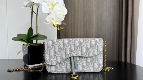 Dior Saddle Bag (Oblique monogram canvas mini crossbody)