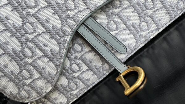 Dior Saddle Bag (Oblique monogram canvas mini crossbody)