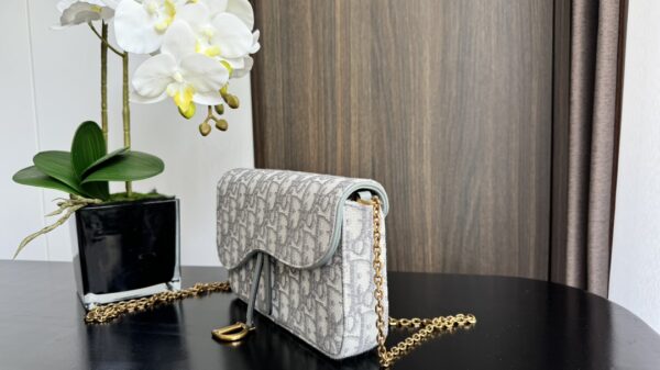 Dior Saddle Bag (Oblique monogram canvas mini crossbody)