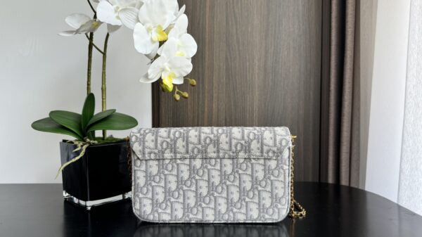 Dior Saddle Bag (Oblique monogram canvas mini crossbody)