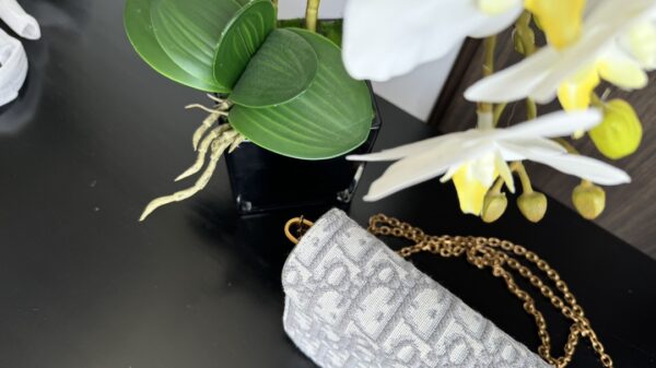 Dior Saddle Bag (Oblique monogram canvas mini crossbody)