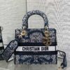 Dior Lady D-Lite bag (limited edition with floral and bird print)