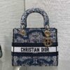 Dior Lady D-Lite bag (limited edition with floral and bird print)