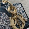 Dior Lady D-Lite bag (limited edition with floral and bird print)