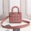 Dior Lady Dior classic bag (lambskin)